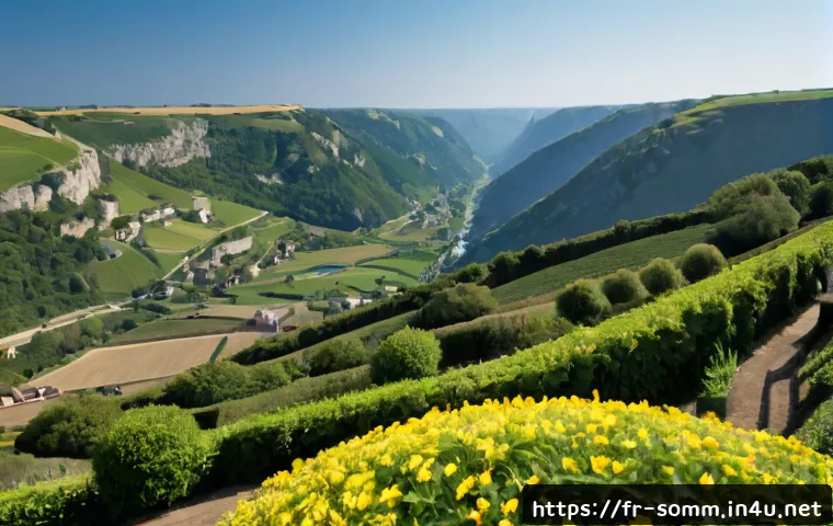 Prendre de bonnes notes de dégustation : méthode simple pour mieux choisir ses vins 4 와인 테이스팅 노트 작성법 관련 이미지 2